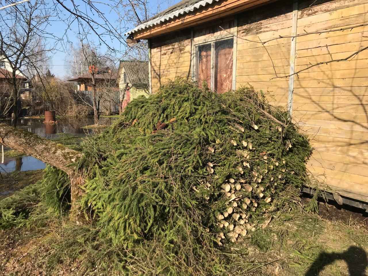 Расчистка участка